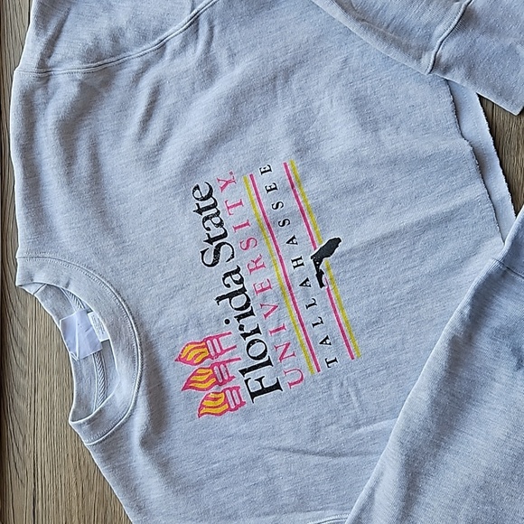 Champion Heathered Gray Florida State Seminoles Cropped Sweatshirt L Like New - Picture 6 of 8